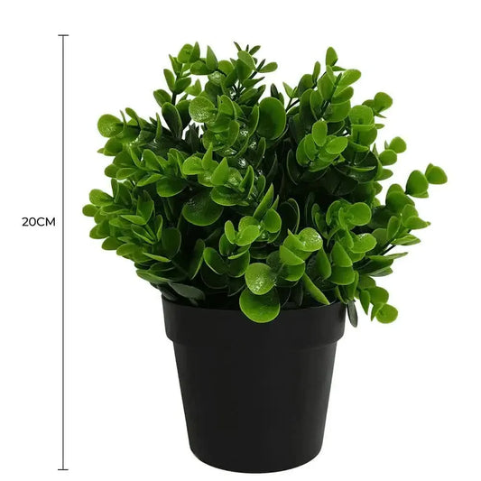 Small Potted Artificial Peperomia Plant UV Resistant 20cm - Image 2