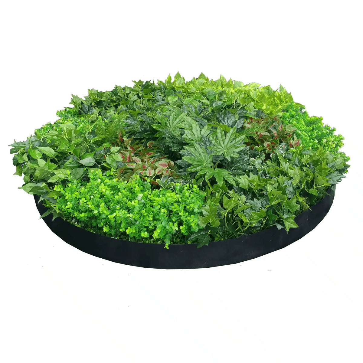 Artificial Green Wall Disc Art 150cm Mixed Ivy and Philodendron (Onyx Black) - Image 3
