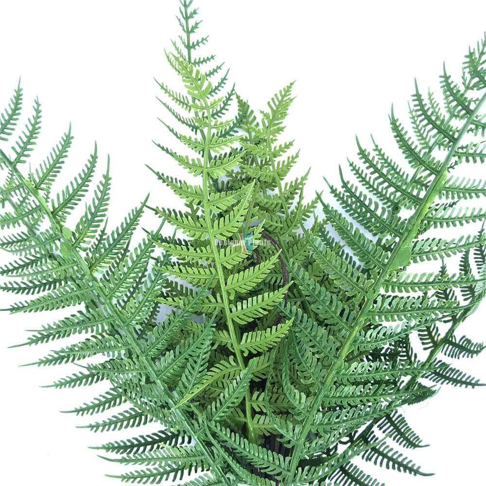 Dark Fern Stem UV Resistant 38cm - Image 3