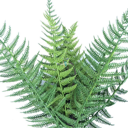 Dark Fern Stem UV Resistant 38cm - Image 3