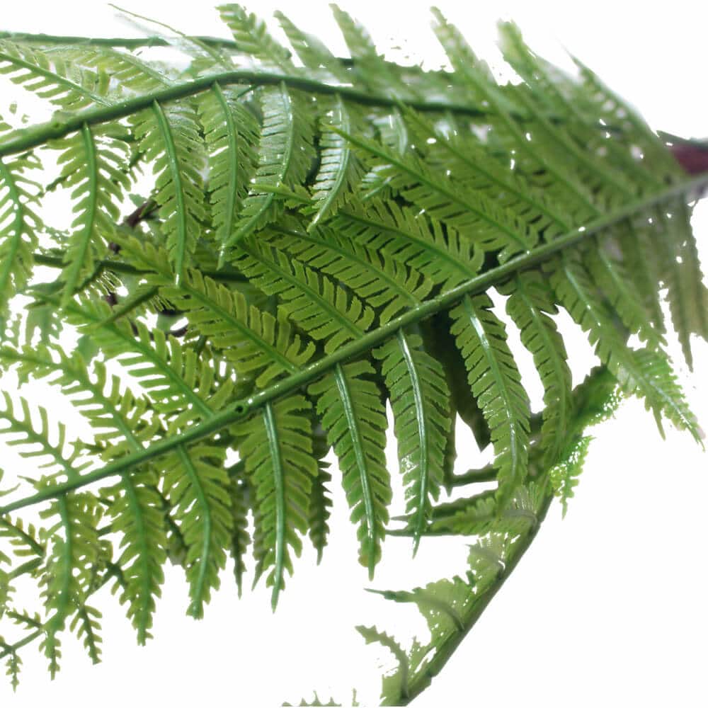 Dark Fern Stem UV Resistant 38cm - Image 4