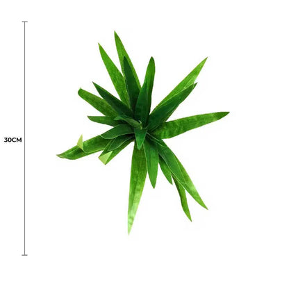 Aloe Vera Stem 30cm - Image 2