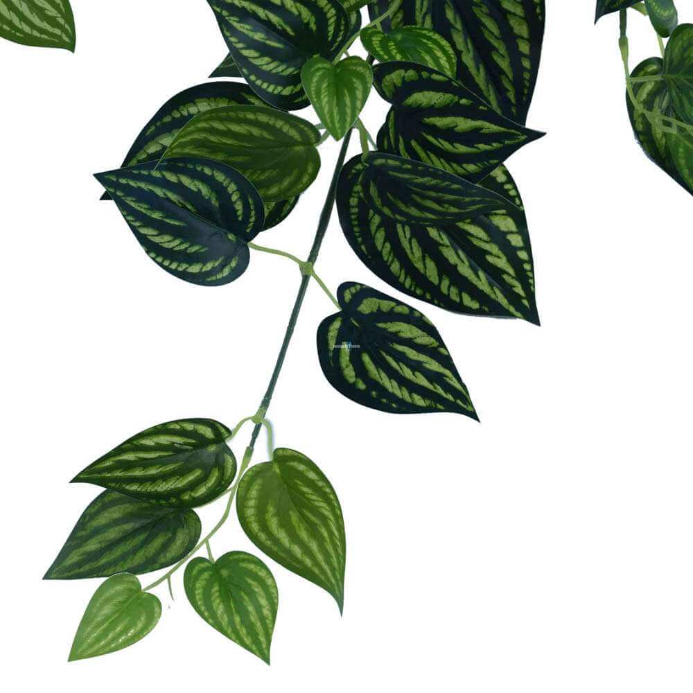 Bright Mixed Philodendron Garland Bush 100cm - Image 3