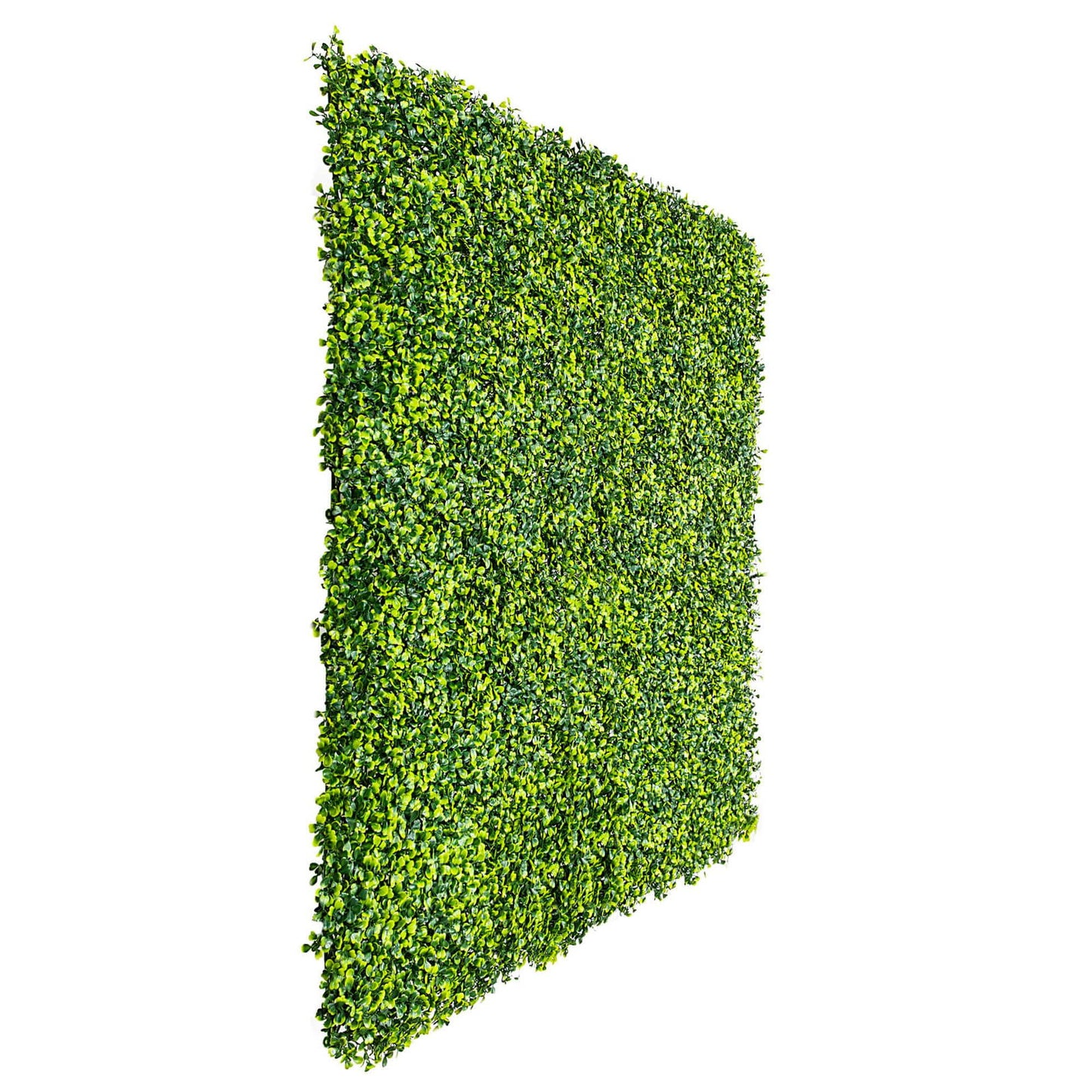 Mixed Boxwood Hedge Panels / Screens UV Resistant 1m X 1m - Image 3