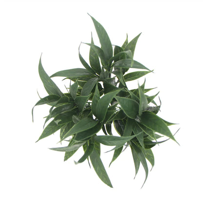 Dark Green Tipped Willow Oak Stem UV Resistant 30cm - Image 4