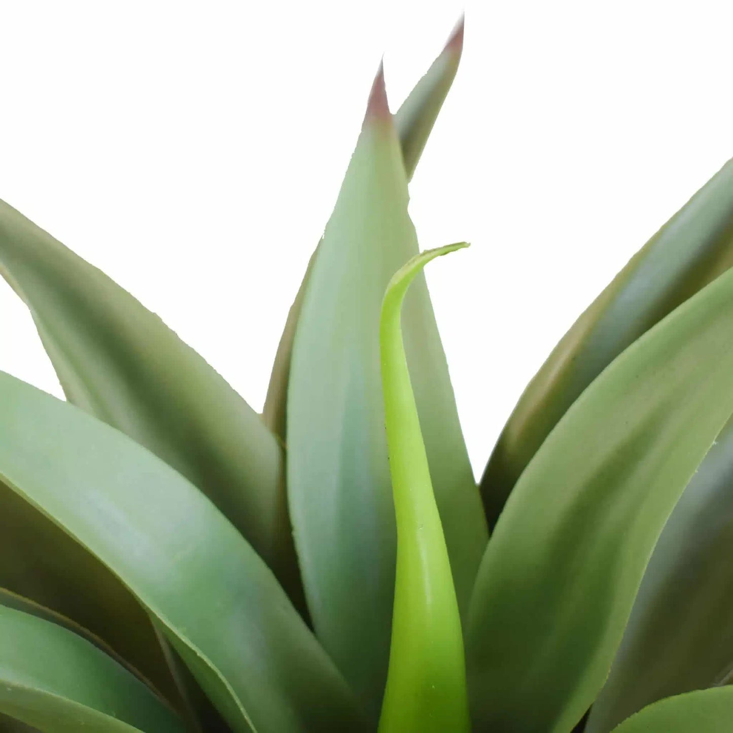 Faux Agave UV Resistant 50cm (no pot) - Image 3