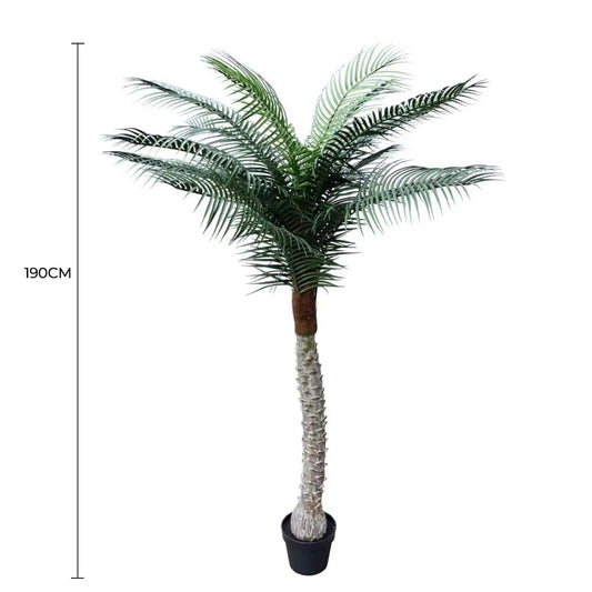 Tropical Phoenix Artificial Potted Palm Tree 190cm UV Resistant - Image 2