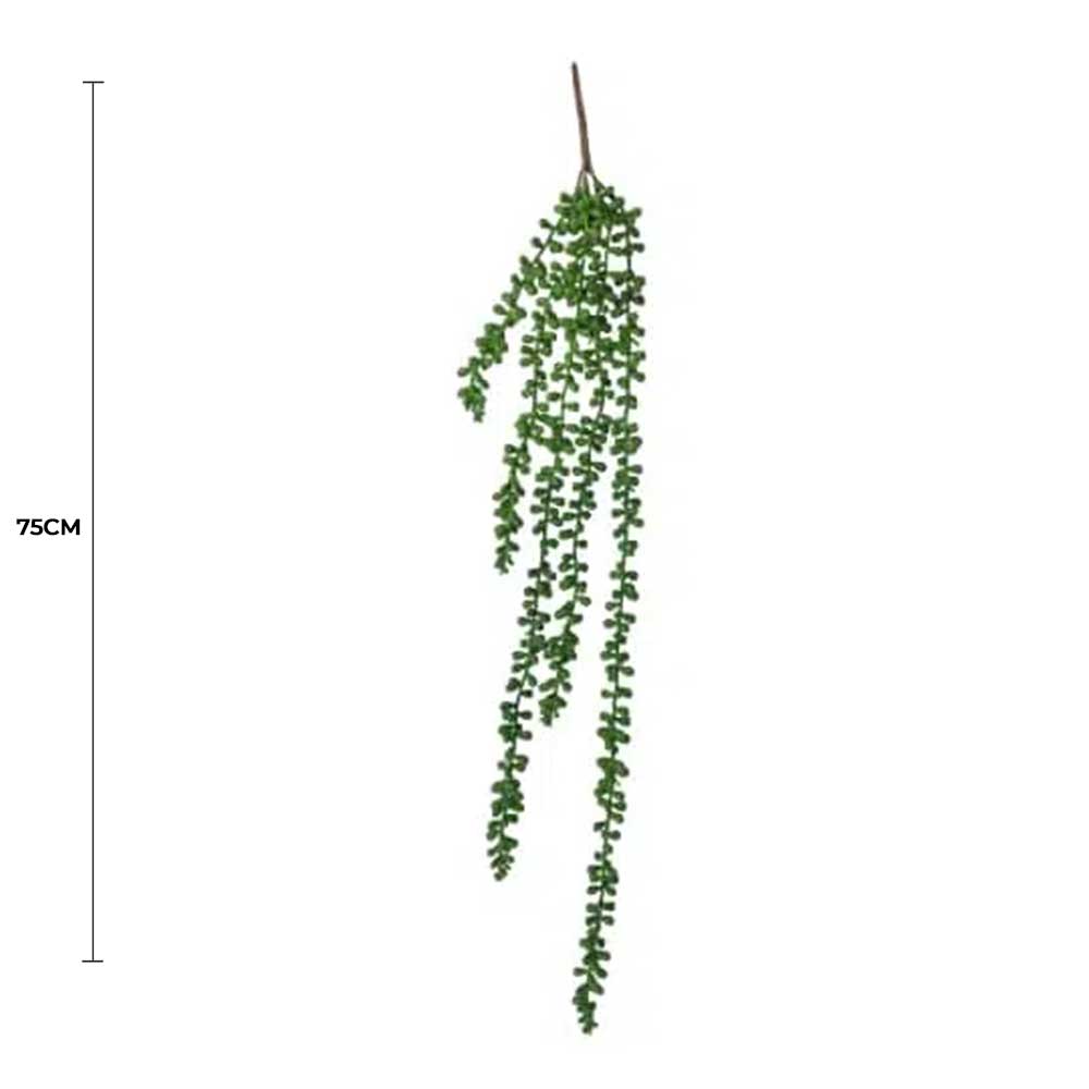 Hanging Succulent String Of Pearl Beads 75cm - Image 2