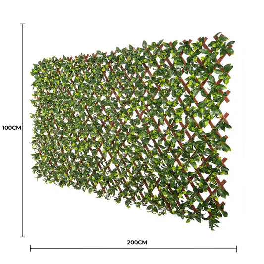 Premium Jasmine Artificial Hedge Extendable Trellis / Screen 2 Meter By 1 Meter UV Resistant (PVC) - Image 2