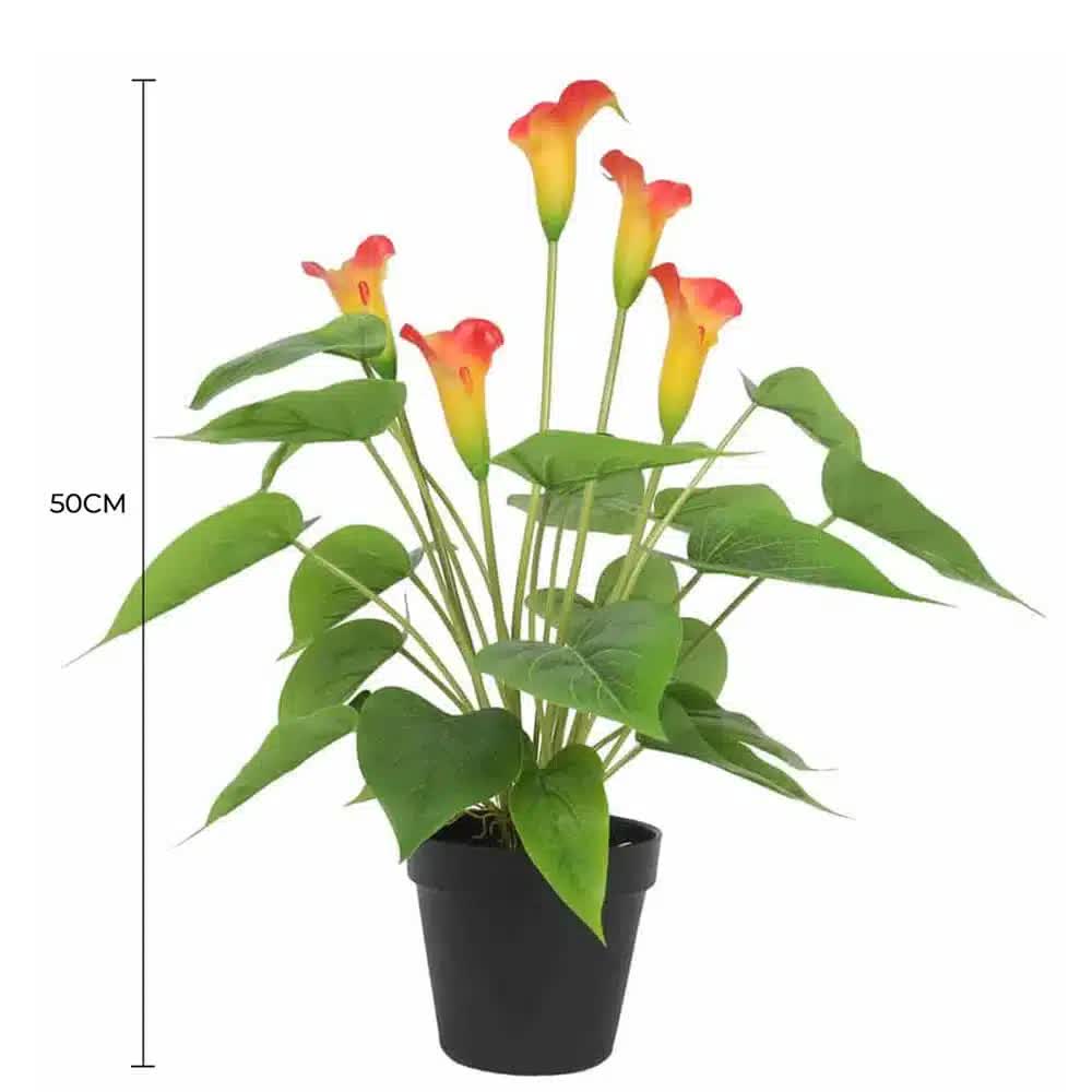 Artificial Flowering White & Orange Peace Lily / Calla Lily Plant 50cm - Image 2