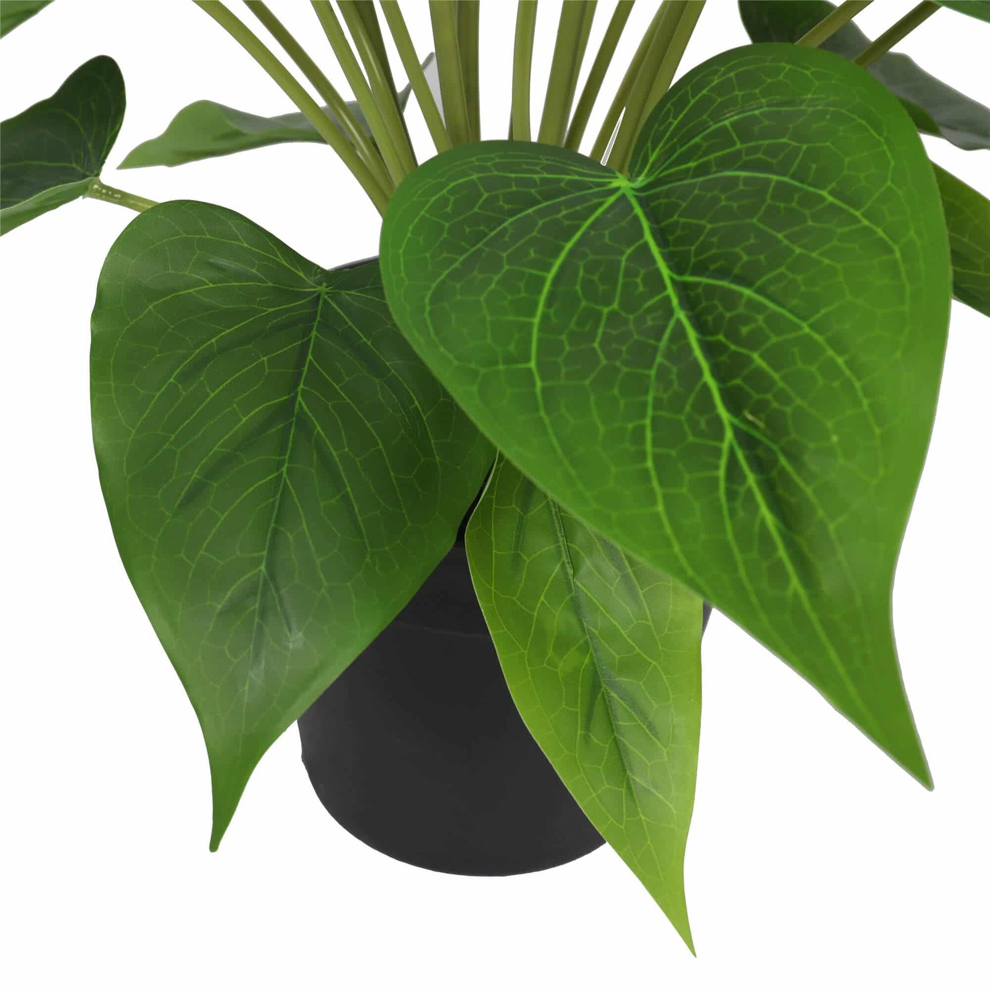 Artificial Flowering White & Orange Peace Lily / Calla Lily Plant 50cm - Image 4