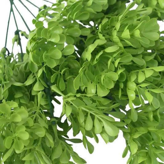 Vivid Green Wide Eucalyptus Plant 32cm UV Resistant - Image 4