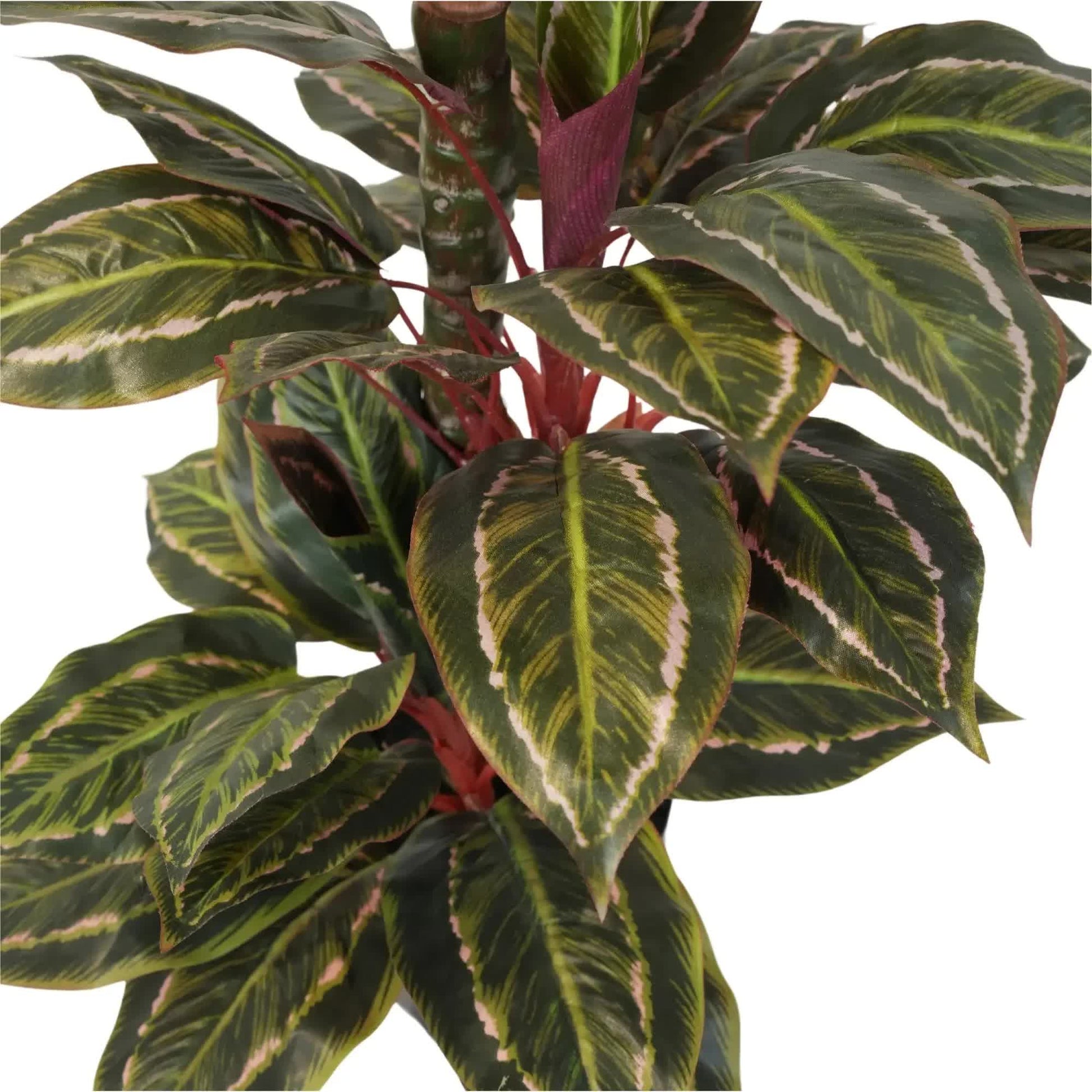 Artificial Wide Leaf Cordyline Plant 90cm - Image 4