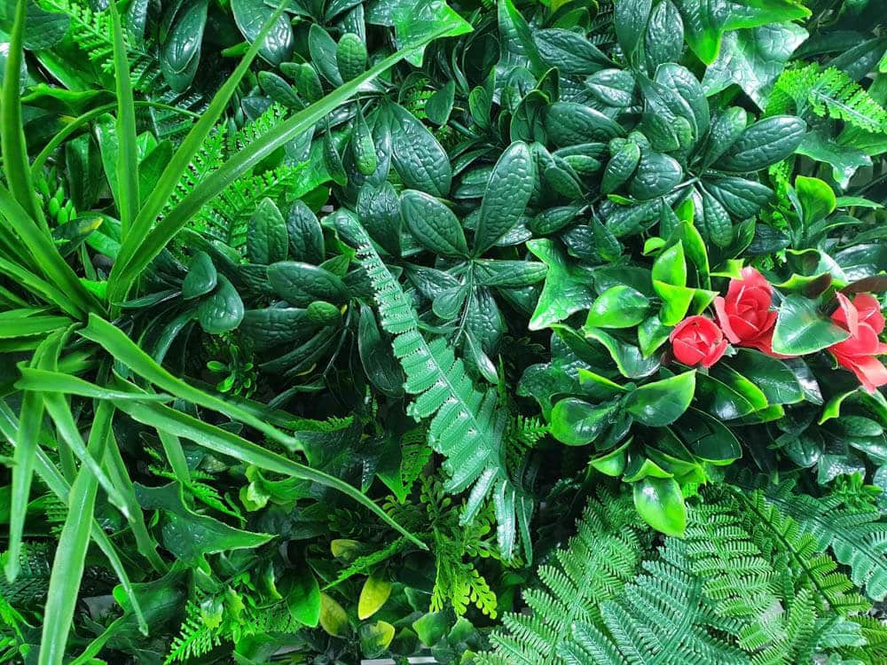 Elegant Red Rose Vertical Garden / Green Wall UV Resistant Sample - Image 3
