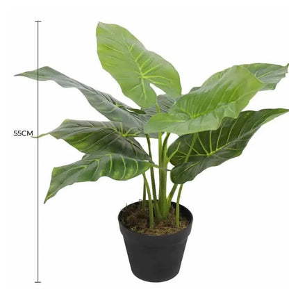 Artificial Potted Taro Plant / Elephant Ear 55cm - Image 2