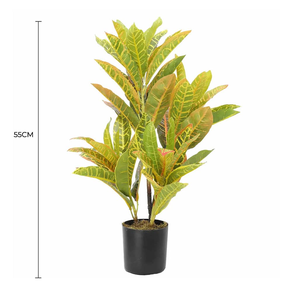 Artificial Potted Flaming Zebra (Codiaeum variegatum / crotons) 55cm - Image 2