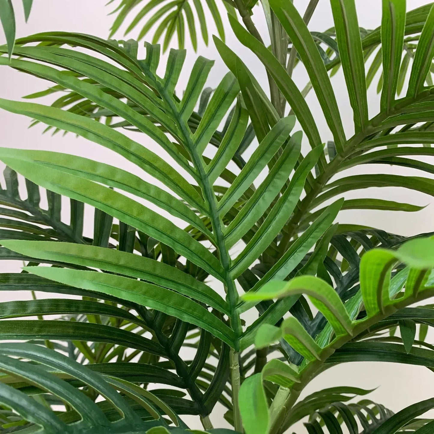 Premium Artificial Potted Multi-trunk Fan Palm 180cm - Image 5