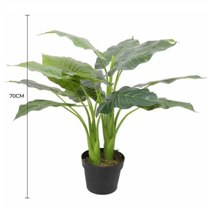 Artificial Potted Taro Plant / Elephant Ear 70cm - Image 2