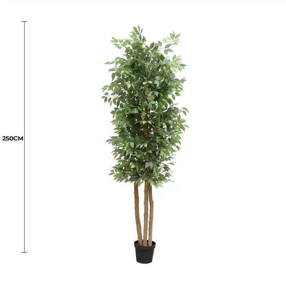 Large Custom Made Ficus Tree 250cm - Image 2