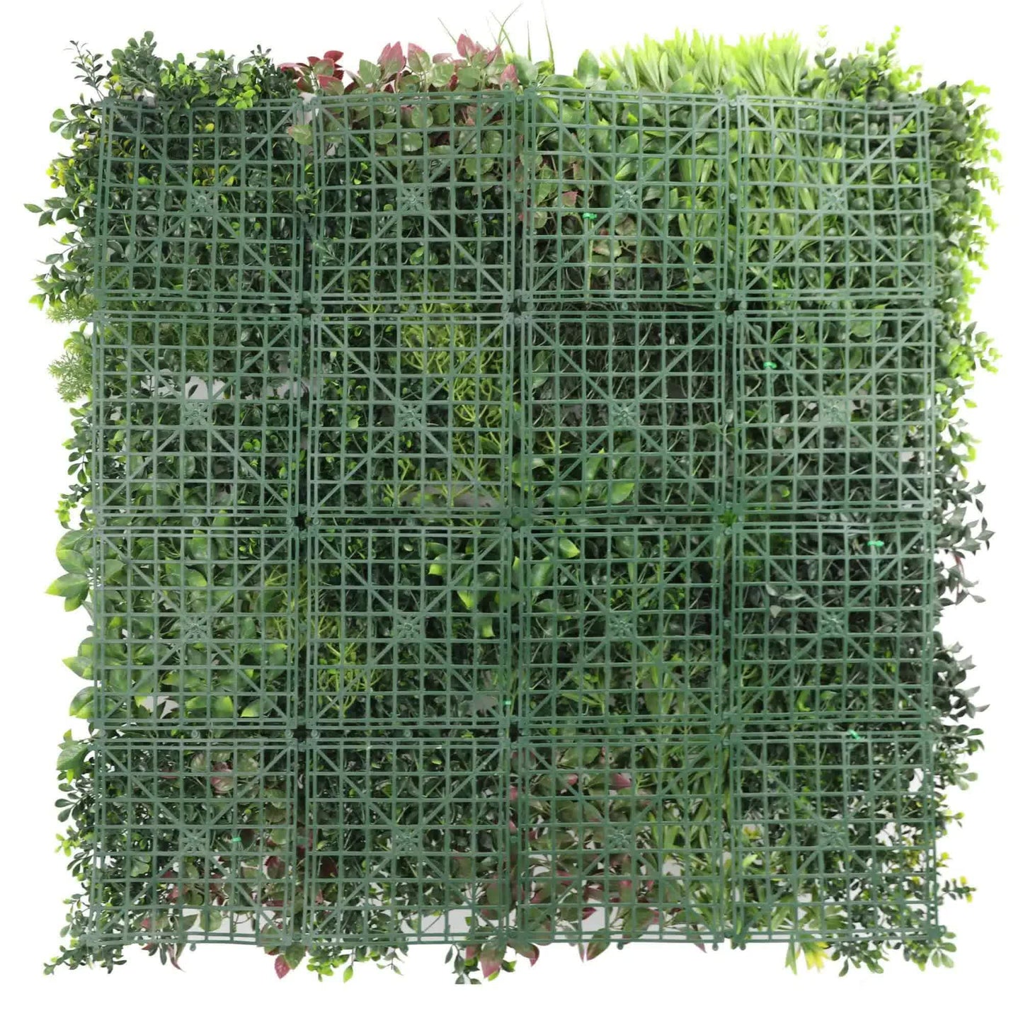 Luxury Evergreen Rainforest Recycled Vertical Garden / Green Wall UV Resistant 1m x 1m - Image 4