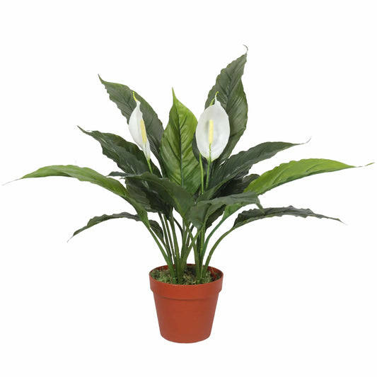 Artificial Spathiphyllum Peace Lily Plant with White Flowers 60cm - Image 2