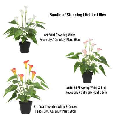 Stunning Lifelike Lilies Bundle