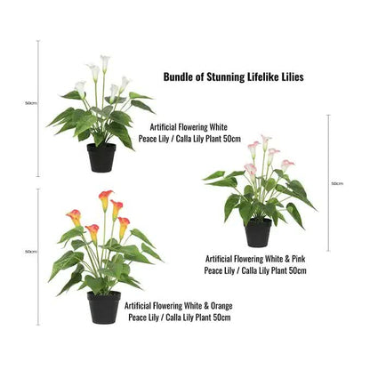 Stunning Lifelike Lilies Bundle - Image 2