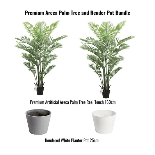 Premium Areca Palm Tree and Render Pot Bundle - Image 2