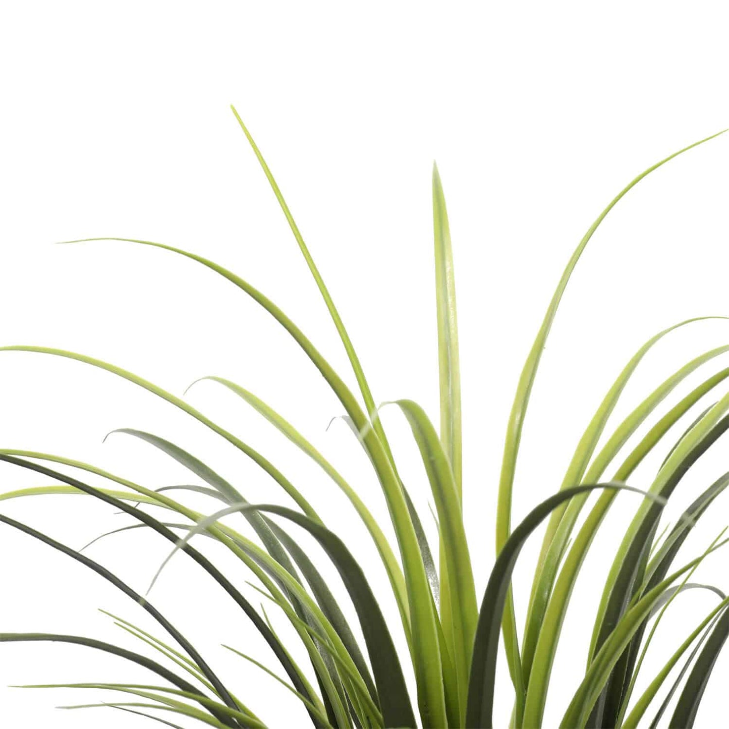 Potted Artificial Long Grass (Yucca Grass) 75cm UV Resistant - Image 4
