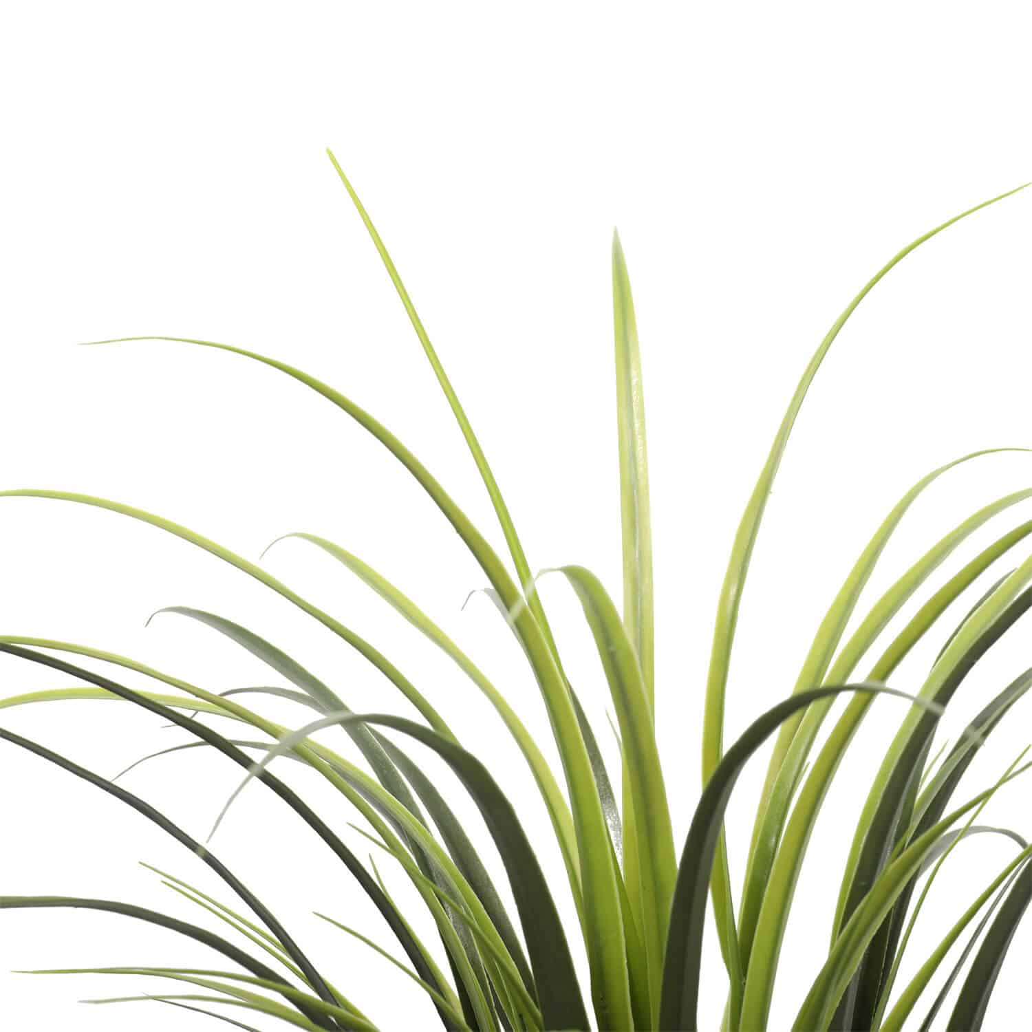 Potted Artificial Long Grass (Yucca Grass) 75cm UV Resistant - Image 4