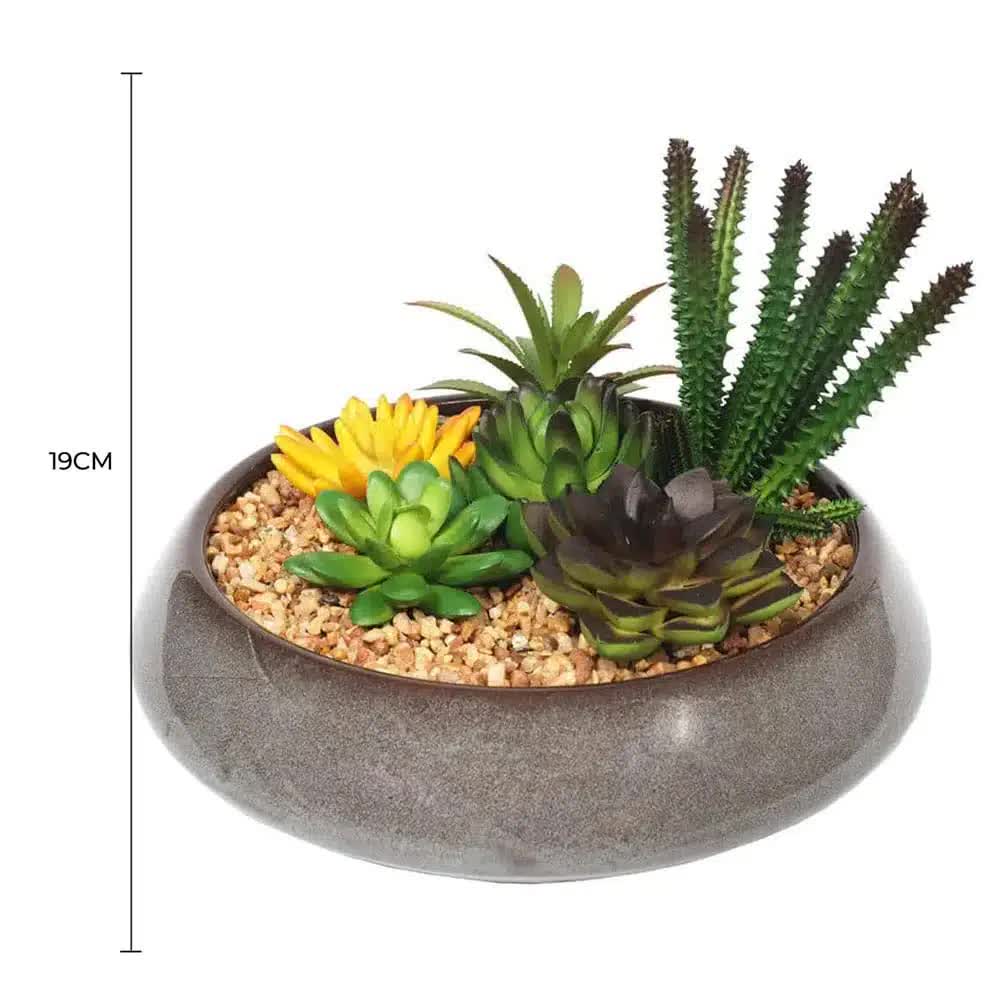 Potted Artificial Succulents with Round Decorative Bowl 19cm - Image 2