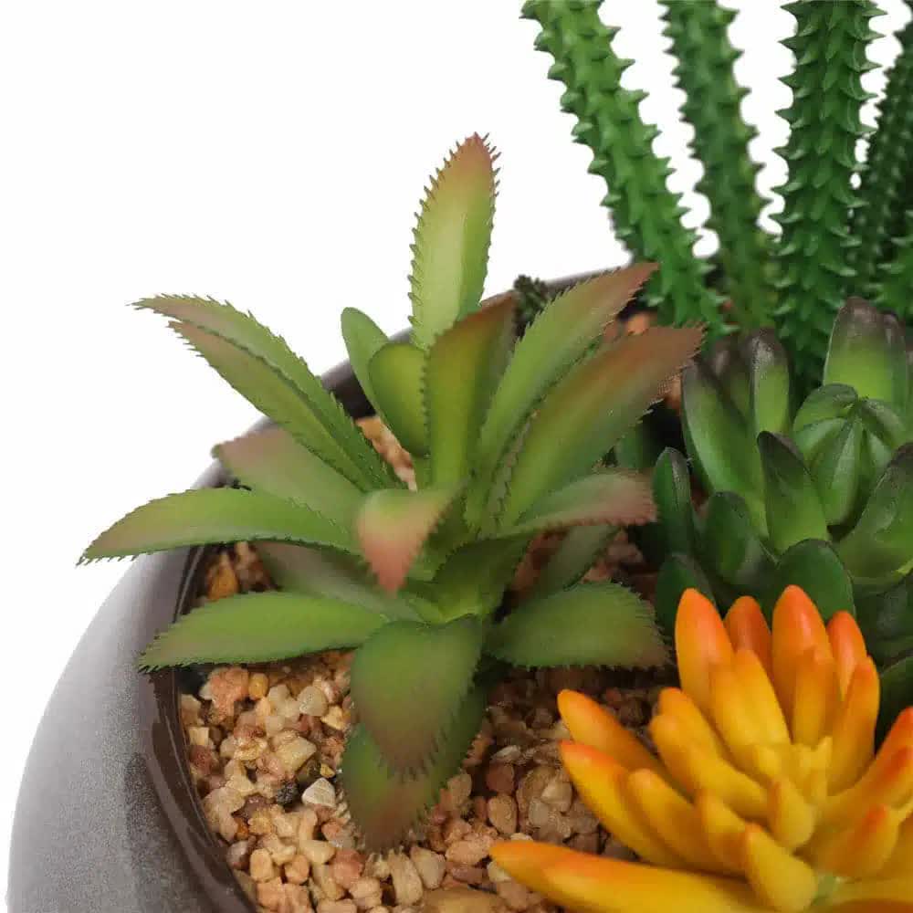 Potted Artificial Succulents with Round Decorative Bowl 19cm - Image 3