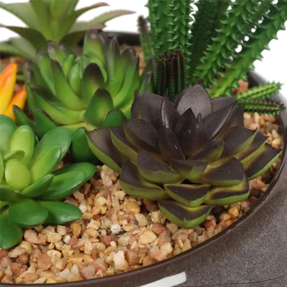 Potted Artificial Succulents with Round Decorative Bowl 19cm - Image 4
