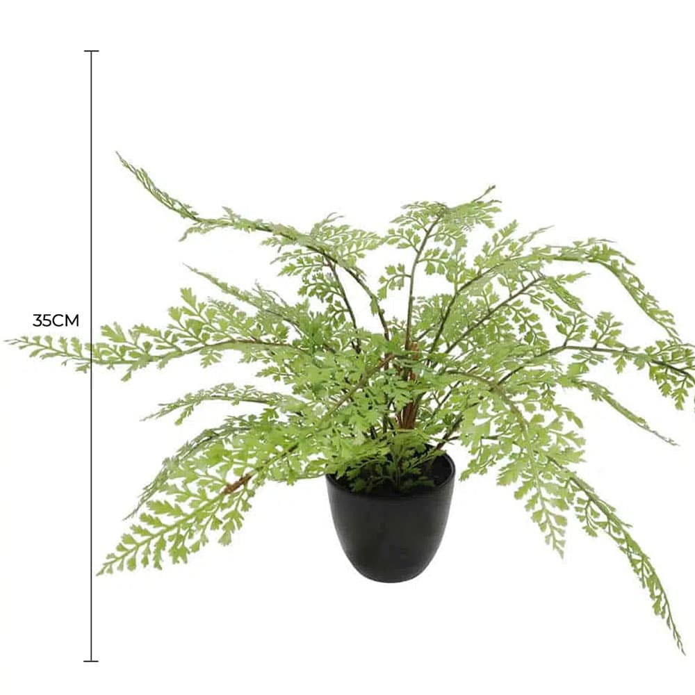 Faux Small Potted Fern 35cm - Image 2