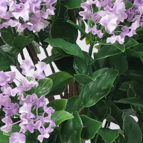 Flowering Lilac Crepe Myrtle Tree 90cm UV Resistant - Image 3