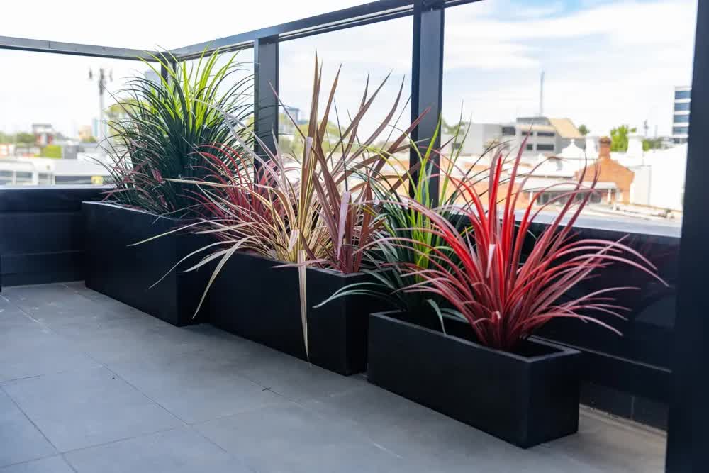 Luxury Black Terrazzo Concrete Planter Set of 3 - Image 3