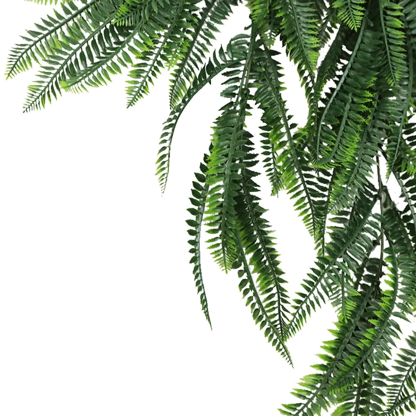 Artificial Mixed Green Bracken Fern 85cm UV Resistant - Image 4