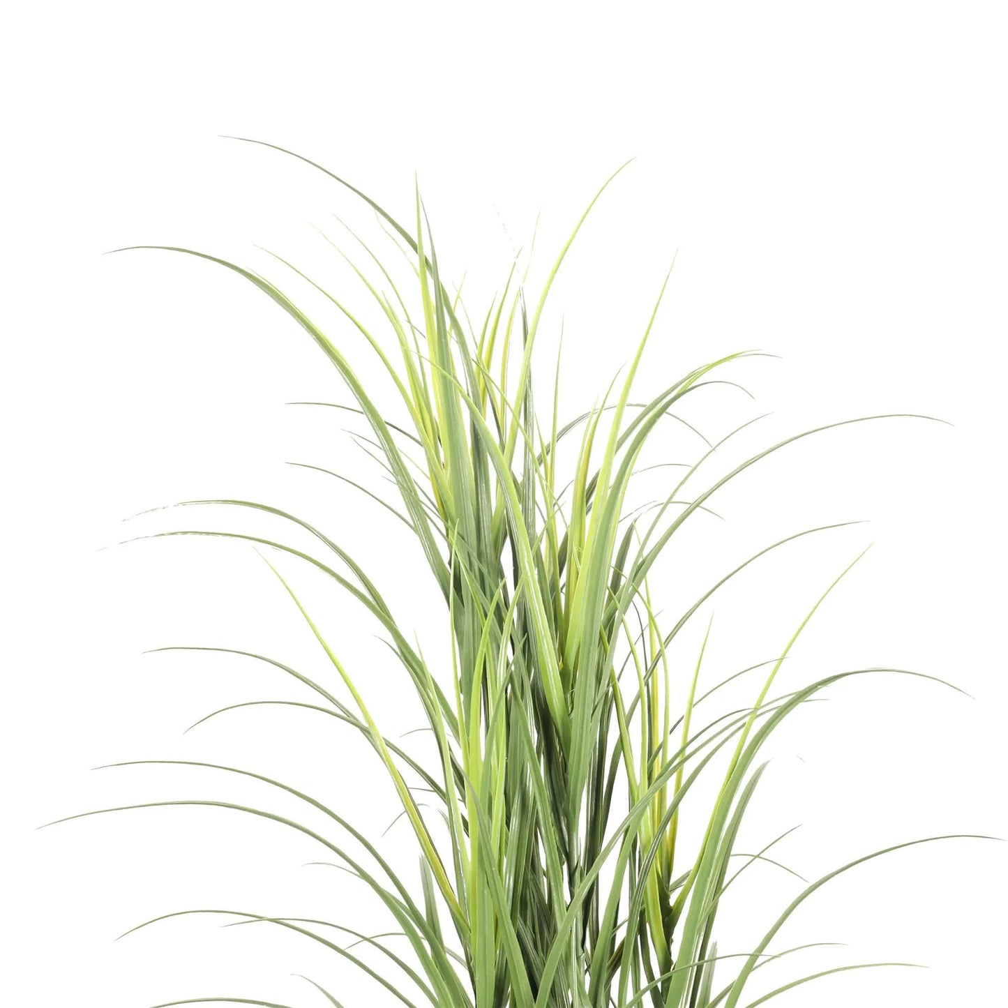 Premium Potted Artificial Long Grass (Yucca Grass / Reed Grass) 180cm UV Resistant - Image 3