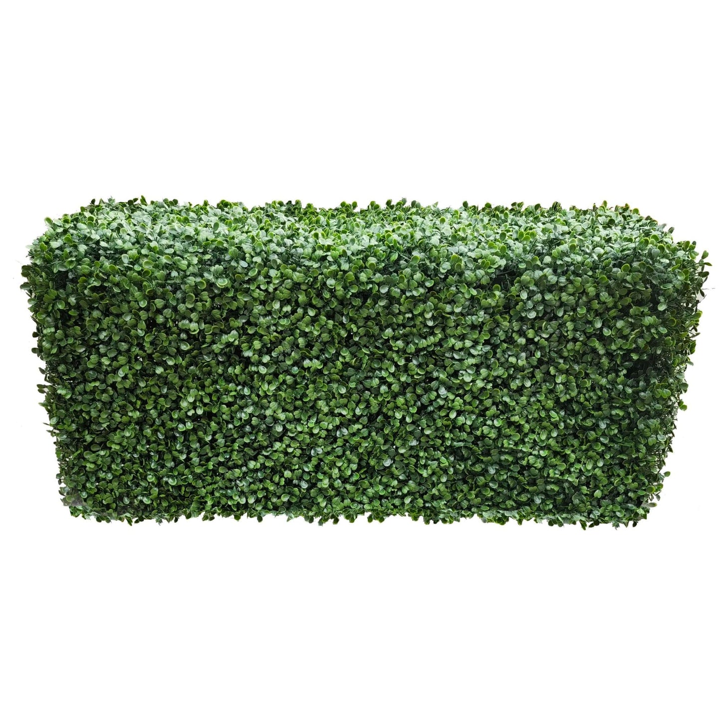 Portable Boxwood Hedge UV Resistant 100cm Long x 50cm High - Image 3