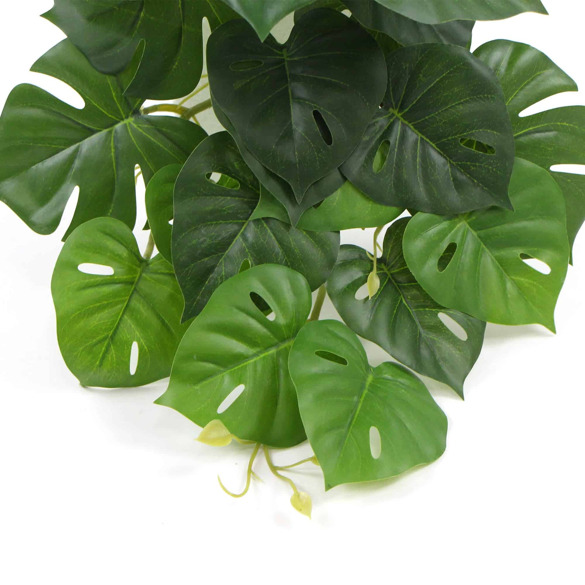 Artificial Monstera Adansonii Plant 50cm - Image 4
