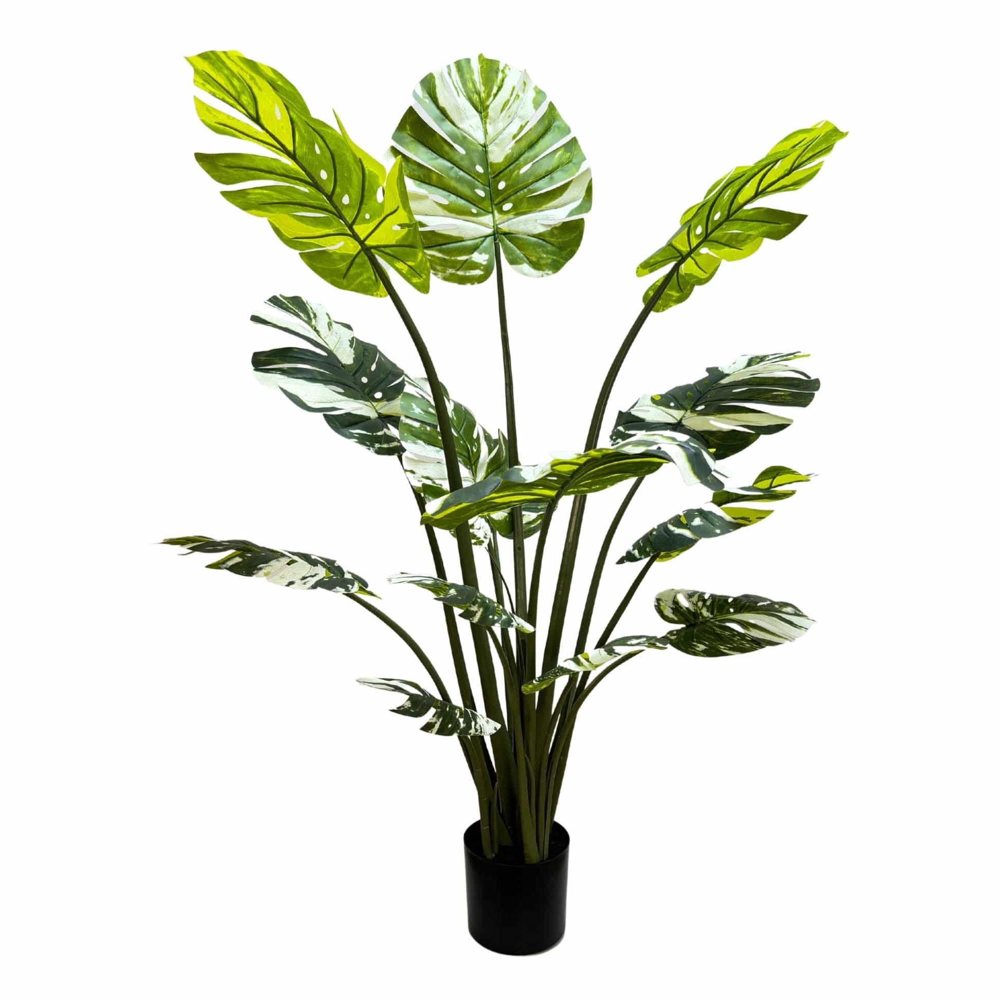 Premium Artificial Potted Monstera Albo 150cm - Image 2