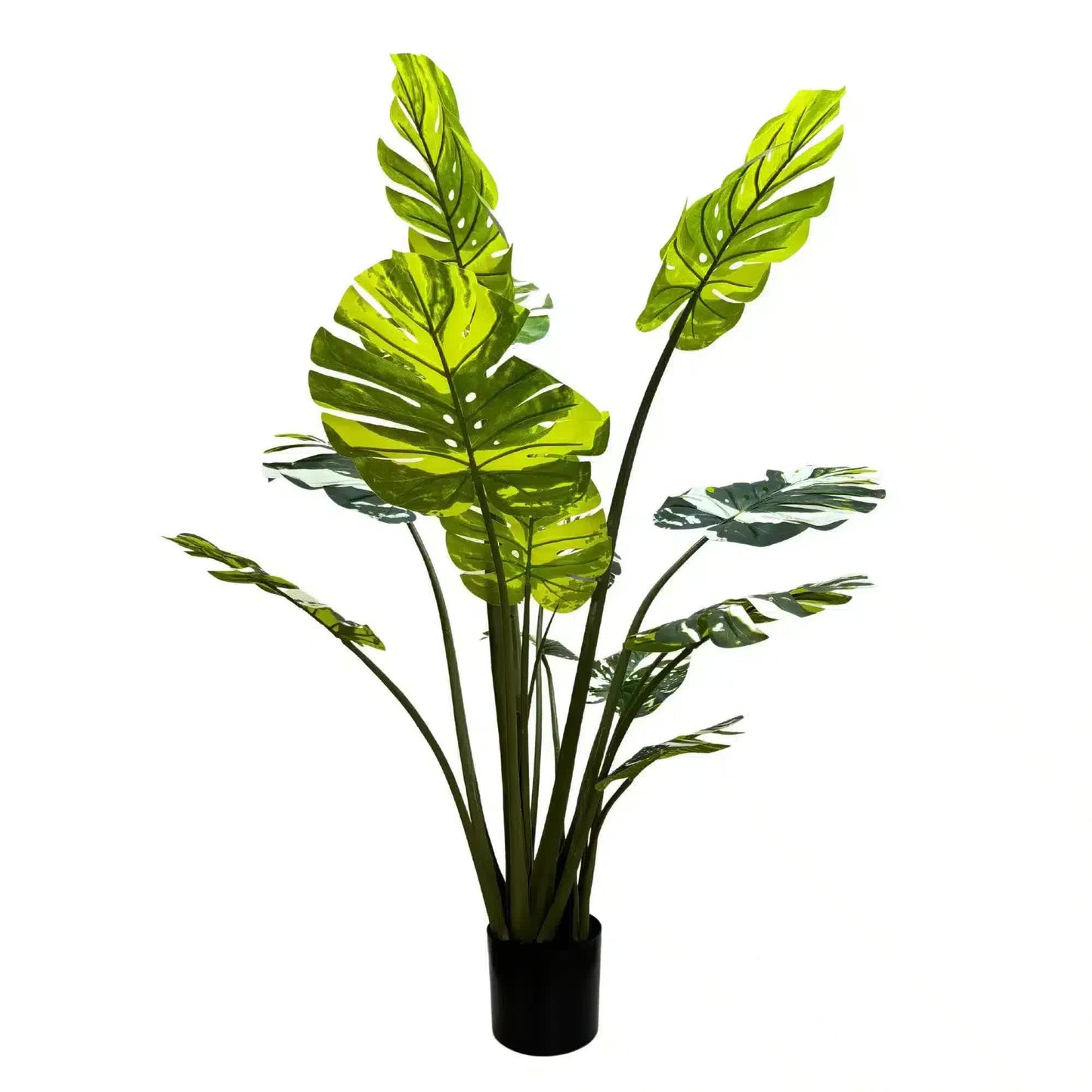 Premium Artificial Potted Monstera Albo 150cm - Image 3
