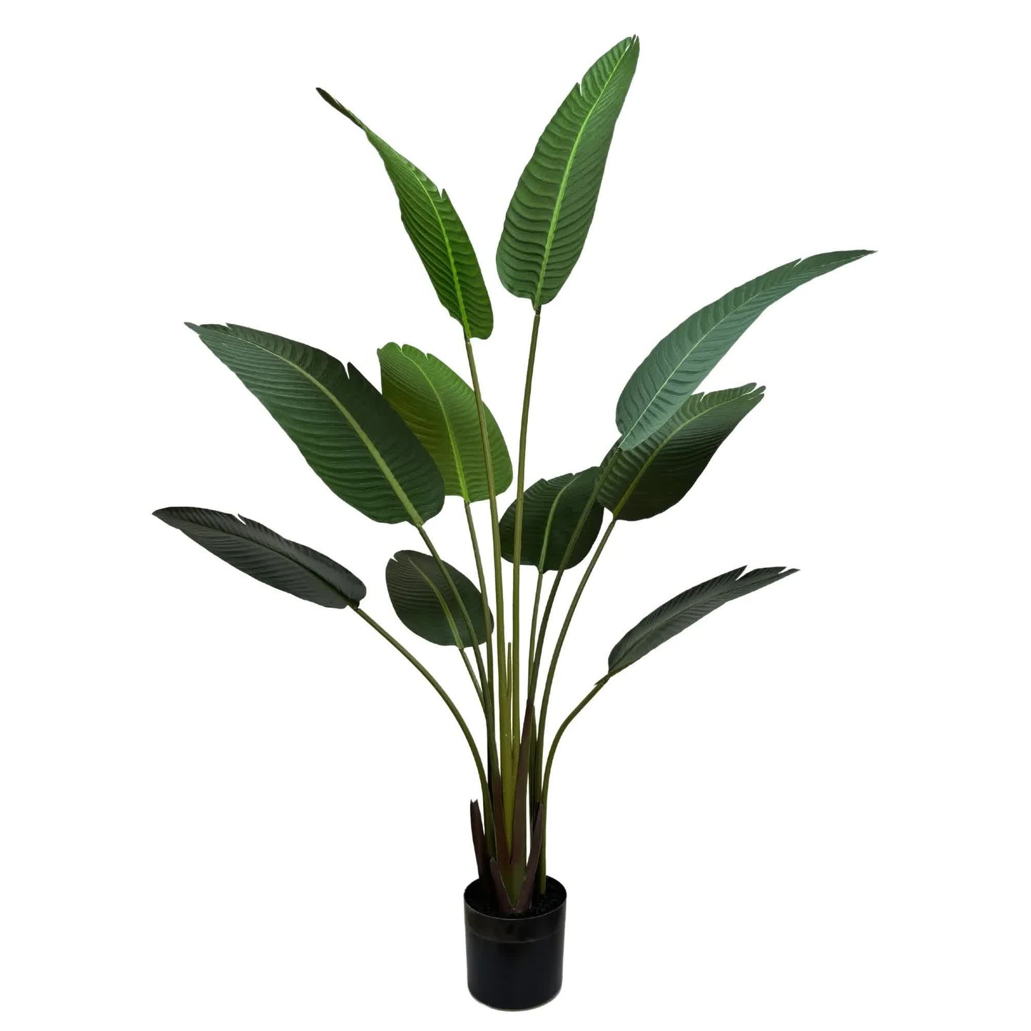Grand Artificial Potted Travelers Palm (Banana Palm Tree) 160cm - Image 2