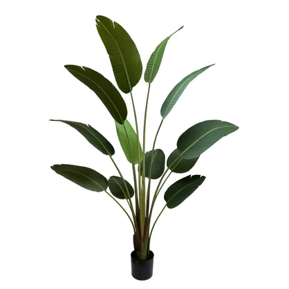 Grand Artificial Potted Travellers Palm (Banana Palm Tree) 180cm - Image 2