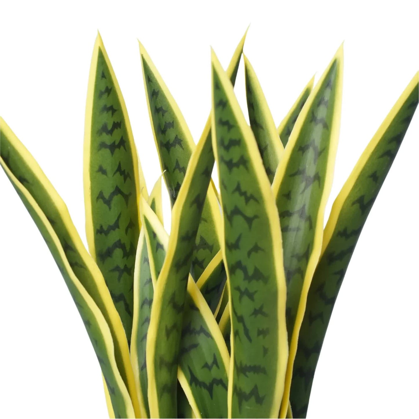 Artificial Mother in Law Tongue / Yellow Tongue Sansevieria UV Resistant 60cm - Image 3