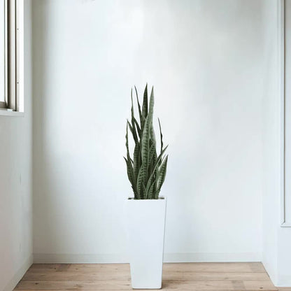 Artificial Snake Plant Sansevieria UV Resistant 90cm - Image 3