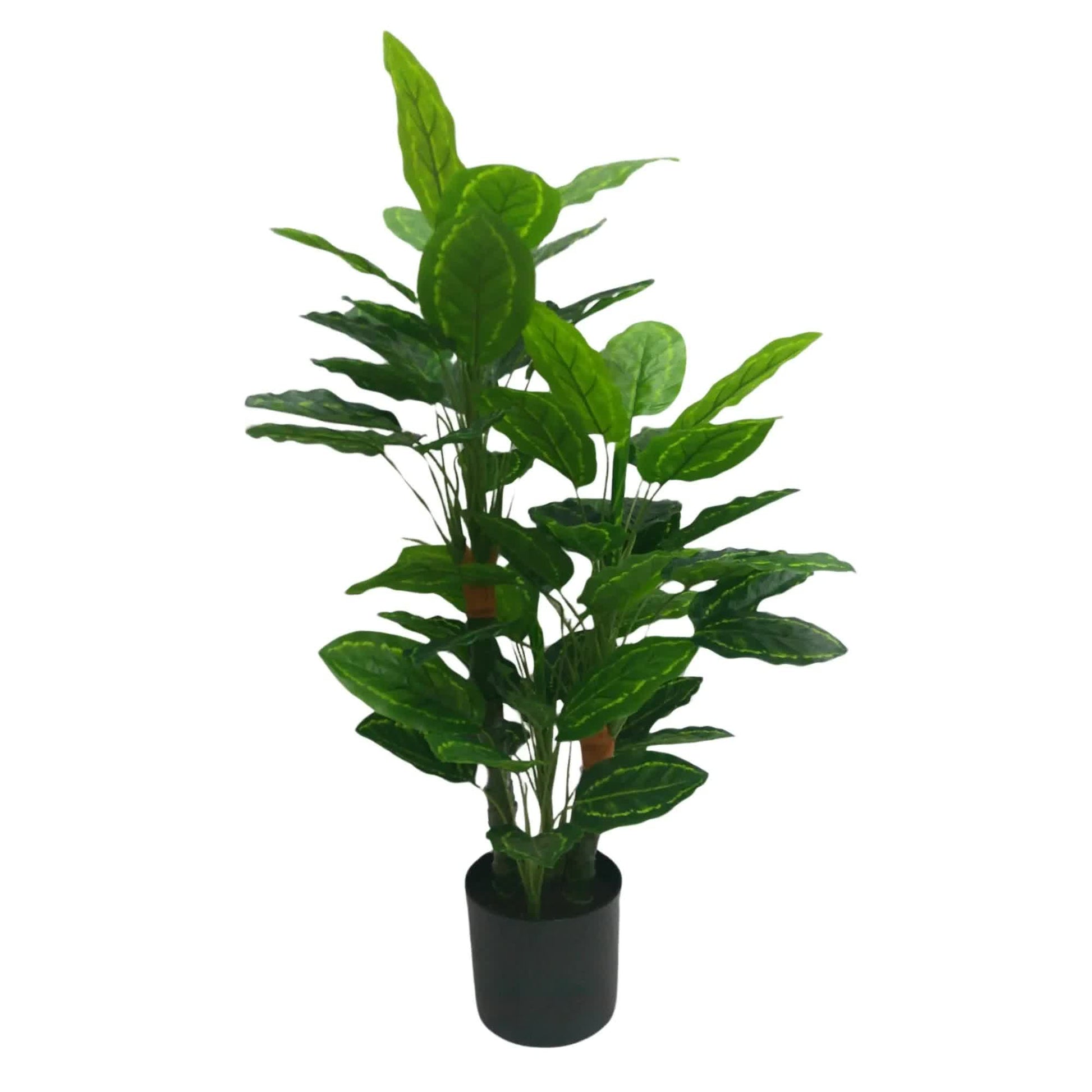 Premium Artificial Cordyline Fructicosa Green / Ti Plant 90cm - Image 4