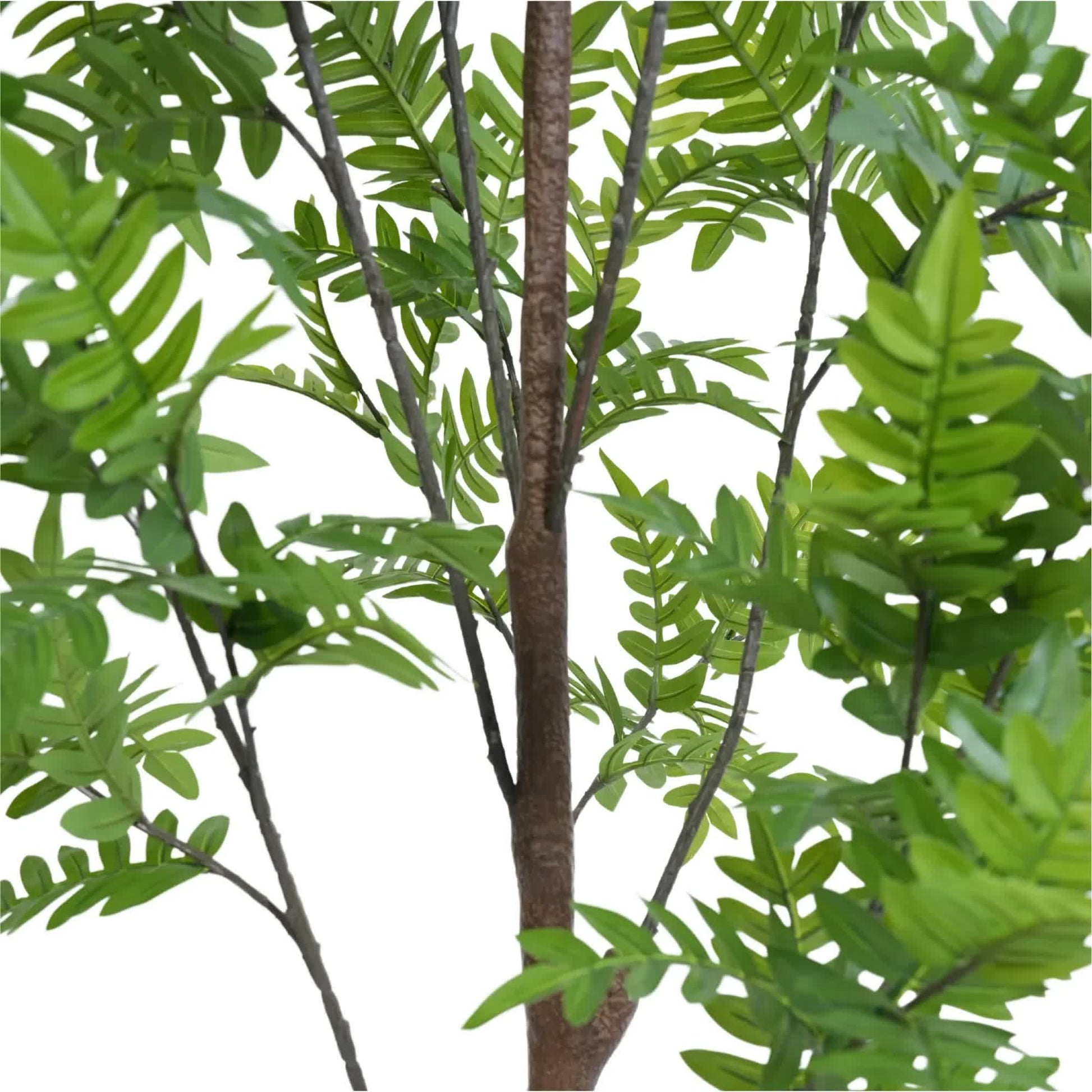 Premium Real Touch Artificial Bracken Palm Tree 180cm - Image 4