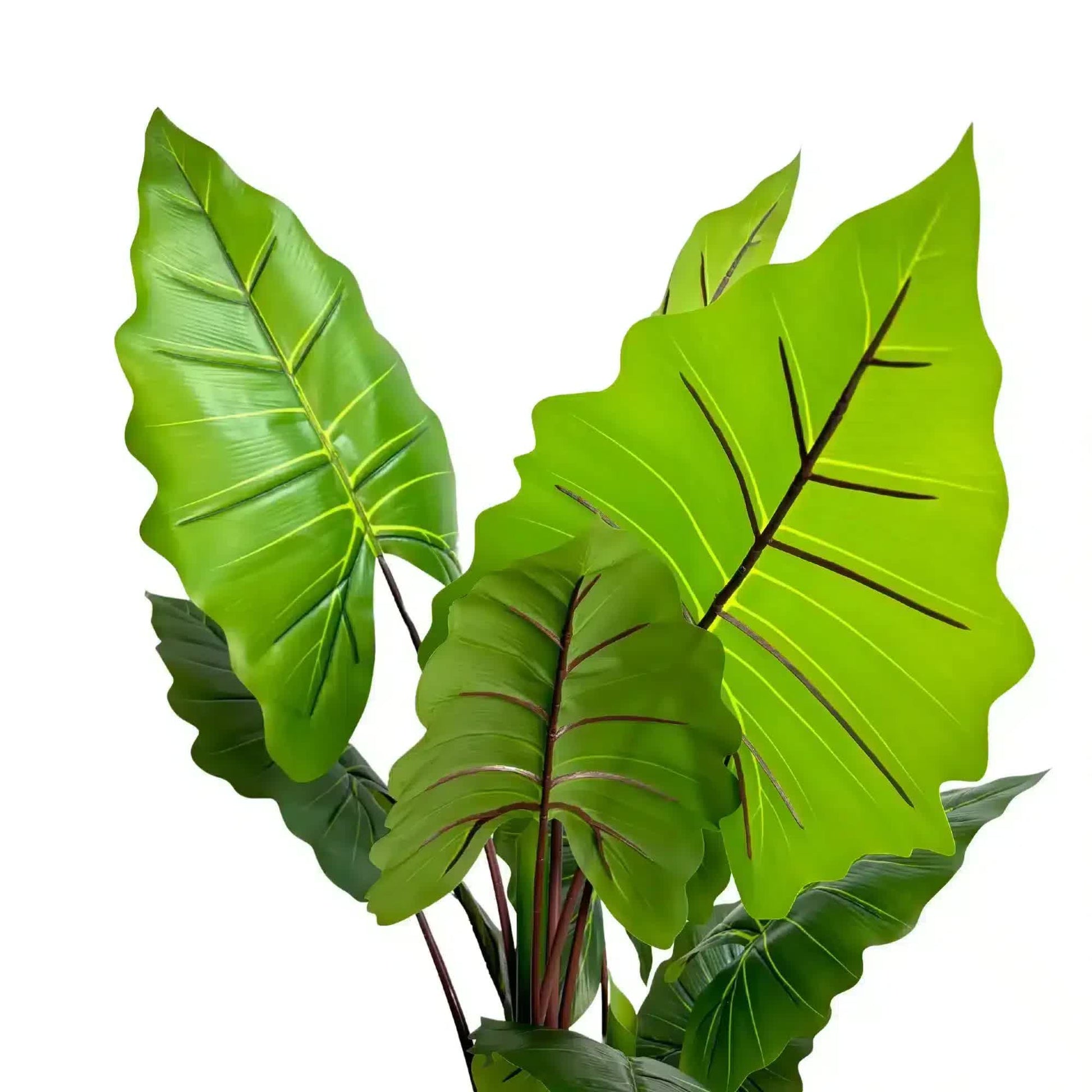 Nearly Natural Artificial Taro Elephant Ear Palm 170cm - Image 3
