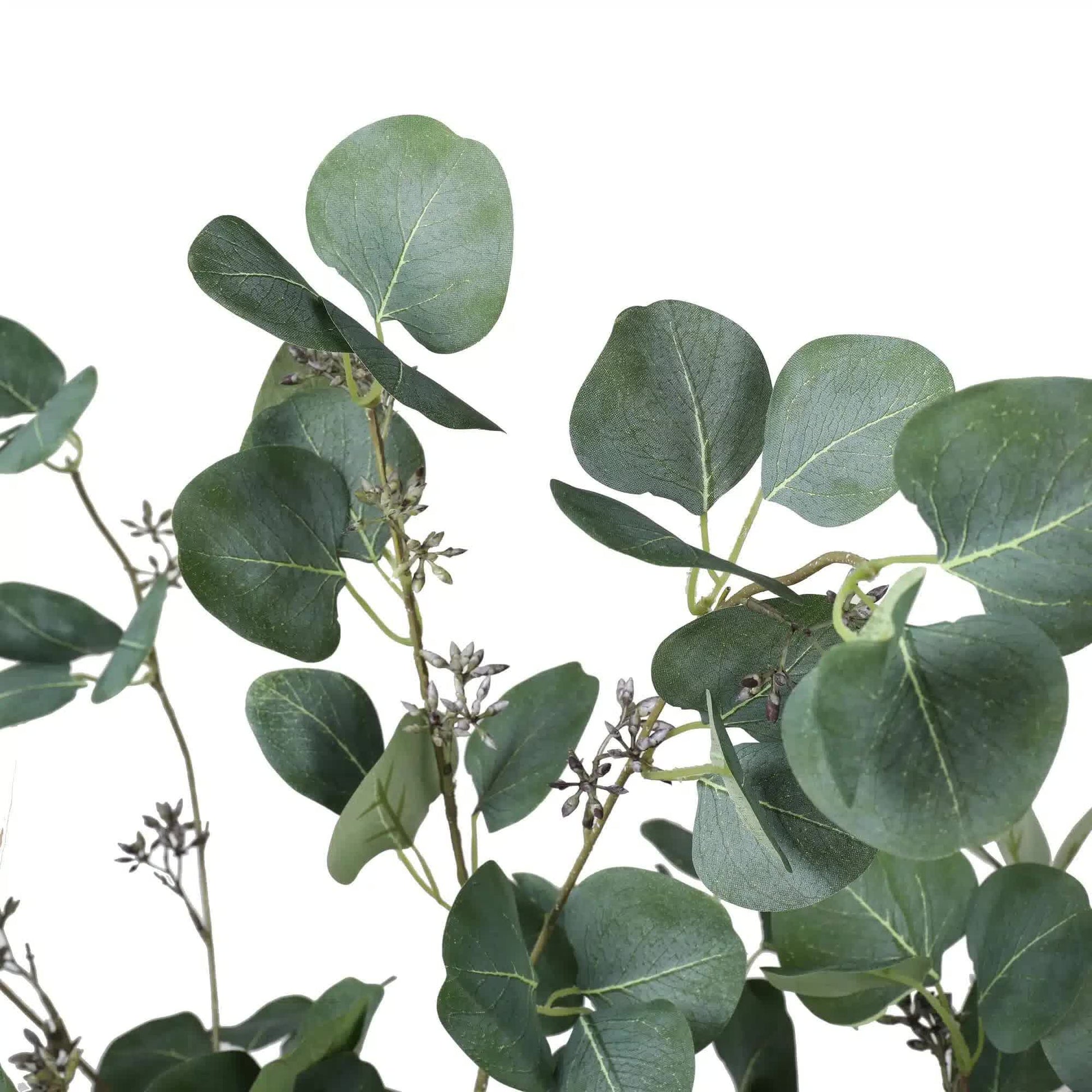 Artificial Eucalyptus Tree (Red Box Eucalyptus Polyanthemos) 150cm - Image 4